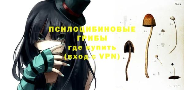 герыч Ступино