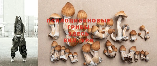 спиды Струнино