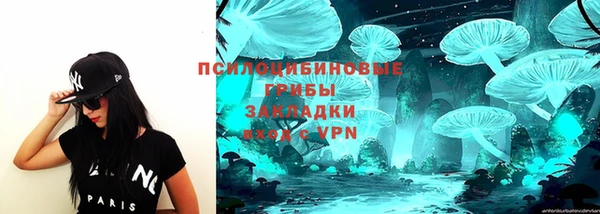 спиды Струнино