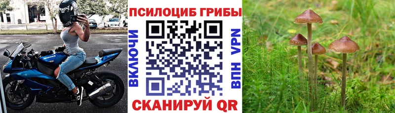 Галлюциногенные грибы MAGIC MUSHROOMS Ялта